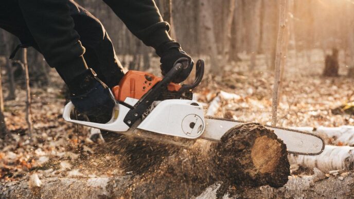 Lumberjack in safety gear prepares a Stihl chainsaw in a serene forest setting.